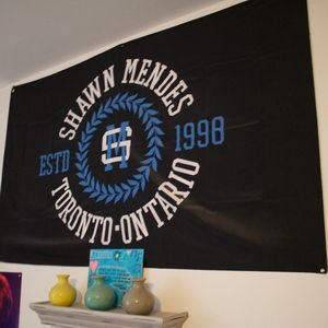 *EXCLUSIVE* Shawn Mendes Flag